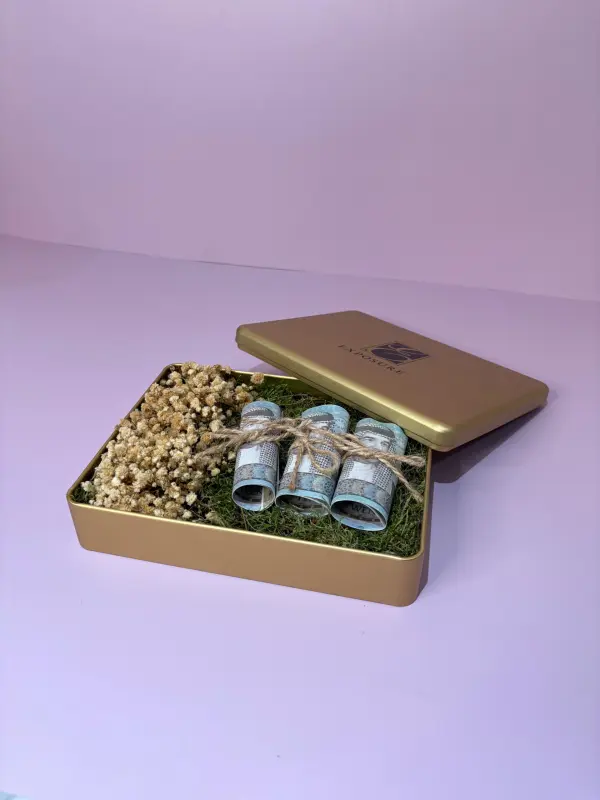 Cash Tin