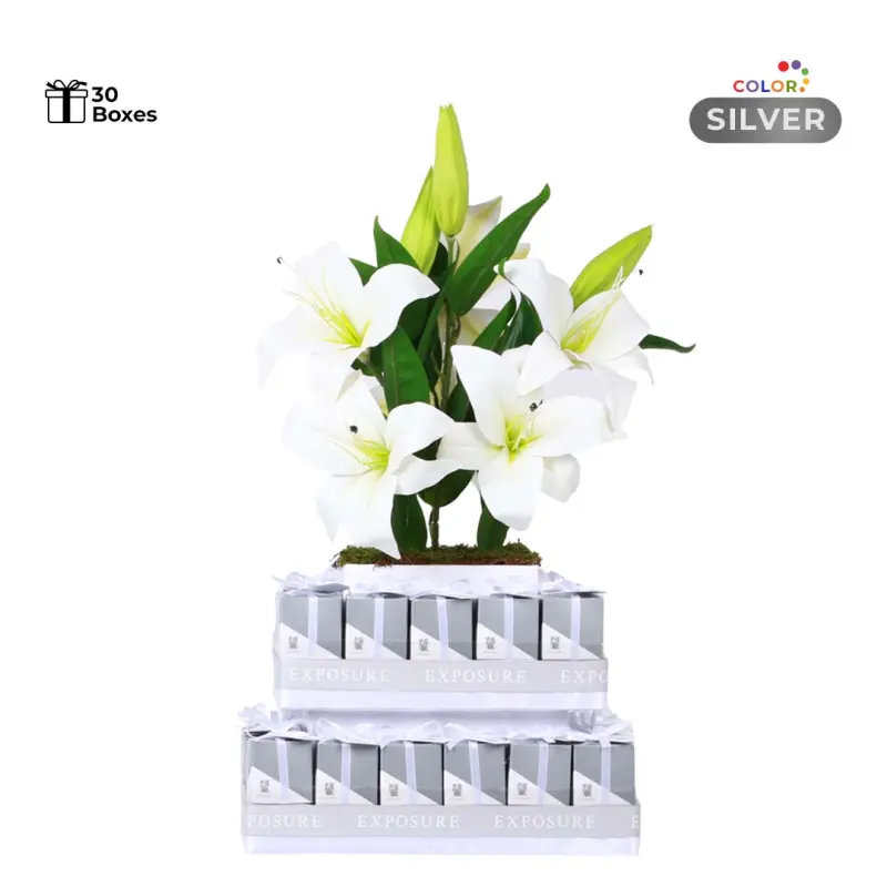 Giveaway Stand